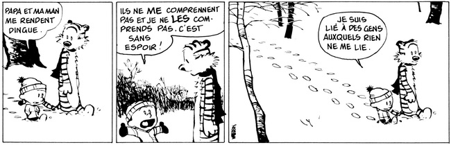 EXPO CALVIN ET HOBBES STRIP Tome15 Bill Watterson BD-Angouleme-2015